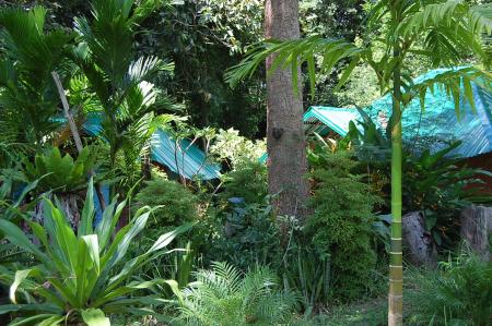 Womanifesto Residency Everyday Activities (Set of 115 Photographs)