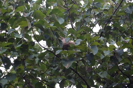 Womanifesto Residency Everyday Activities (Set of 115 Photographs)