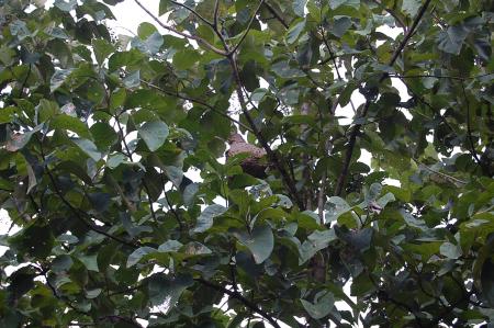 Womanifesto Residency Everyday Activities (Set of 115 Photographs)