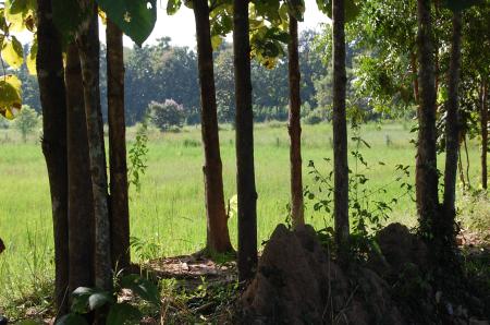 Womanifesto Residency Everyday Activities (Set of 115 Photographs)