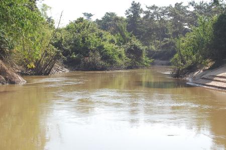 Womanifesto Residency Everyday Activities (Set of 115 Photographs)