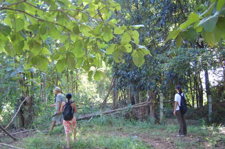 Womanifesto Residency Everyday Activities (Set of 115 Photographs)