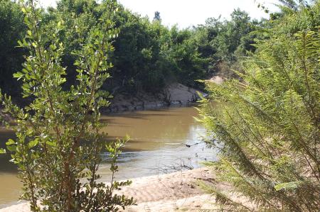 Womanifesto Residency Everyday Activities (Set of 115 Photographs)