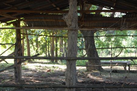 Womanifesto Residency Everyday Activities (Set of 115 Photographs)