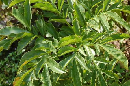 Womanifesto Residency Everyday Activities (Set of 115 Photographs)