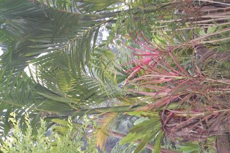 Womanifesto Residency Everyday Activities (Set of 115 Photographs)