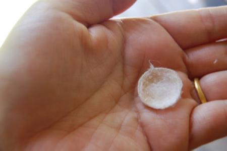 Photographs Selected for Press (Set of 31 Photographs)