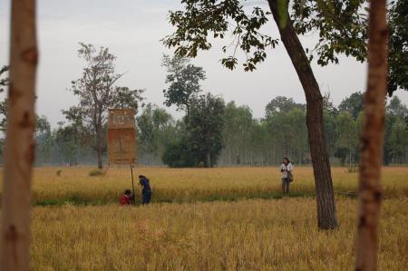 Naruemon Padsamran's Residency at Womanifesto (Set of 63 Photographs)