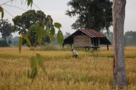 Naruemon Padsamran's Residency at Womanifesto (Set of 63 Photographs)