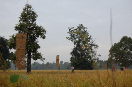 Naruemon Padsamran's Residency at Womanifesto (Set of 63 Photographs)