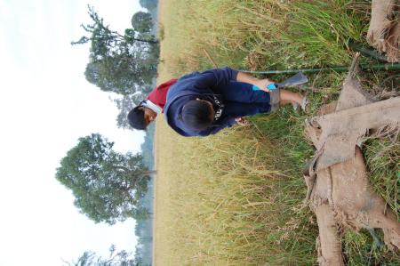 Naruemon Padsamran's Residency at Womanifesto (Set of 63 Photographs)