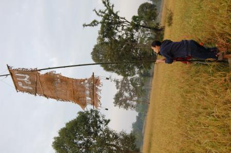 Naruemon Padsamran's Residency at Womanifesto (Set of 63 Photographs)