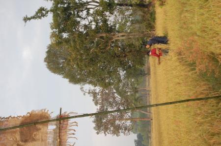 Naruemon Padsamran's Residency at Womanifesto (Set of 63 Photographs)