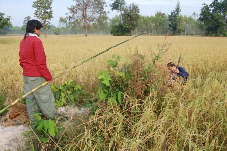 Naruemon Padsamran's Residency at Womanifesto (Set of 63 Photographs)