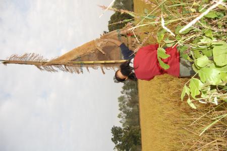 Naruemon Padsamran's Residency at Womanifesto (Set of 63 Photographs)