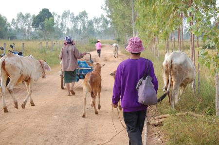 Naruemon Padsamran's Residency at Womanifesto (Set of 63 Photographs)
