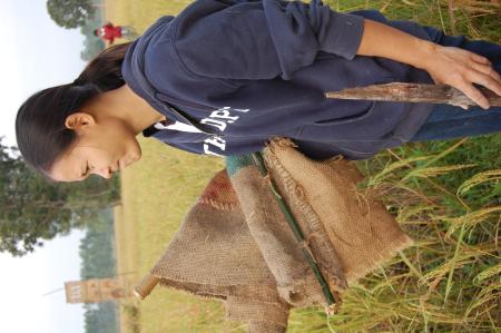 Naruemon Padsamran's Residency at Womanifesto (Set of 63 Photographs)