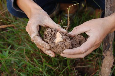 Naruemon Padsamran's Residency at Womanifesto (Set of 63 Photographs)