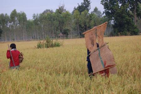 Naruemon Padsamran's Residency at Womanifesto (Set of 63 Photographs)