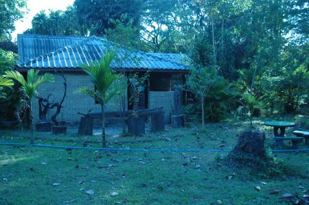 Pre-Residency Activities at Boon Bandarn Farm (28 Photographs)