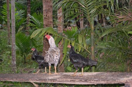 Womanifesto Residency Everyday Activities (Set of 115 Photographs)