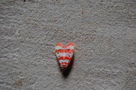 Womanifesto Residency Everyday Activities (Set of 115 Photographs)