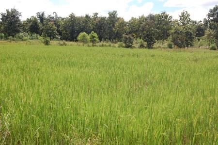 Womanifesto Residency Everyday Activities (Set of 115 Photographs)