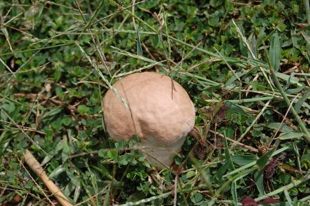 Womanifesto Residency Everyday Activities (Set of 115 Photographs)