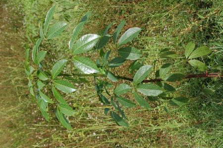 Womanifesto Residency Everyday Activities (Set of 115 Photographs)