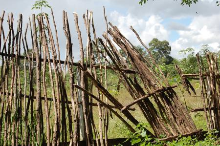 Womanifesto Residency Everyday Activities (Set of 115 Photographs)