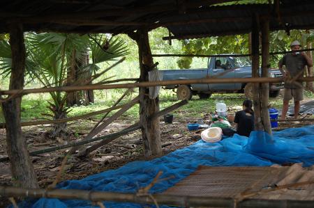 Womanifesto Residency Everyday Activities (Set of 115 Photographs)