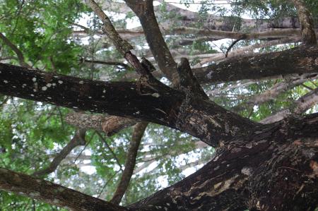 Womanifesto Residency Everyday Activities (Set of 115 Photographs)