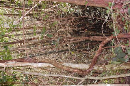 Womanifesto Residency Everyday Activities (Set of 115 Photographs)