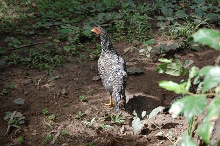 Womanifesto Residency Everyday Activities (Set of 115 Photographs)