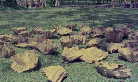 Untitled 'Offering' — Preparation (Set of 4 Photographs)