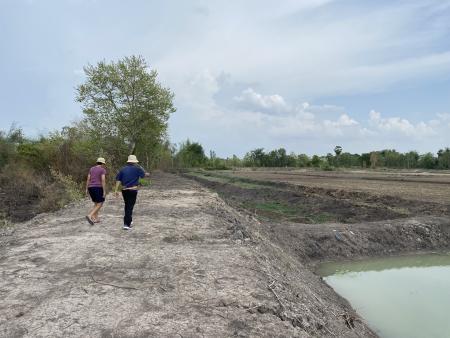 Survey and clay collection from the source of Huey Din Dam marsh near Baan Chiang