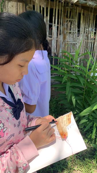 Student wrote plants' propertied on betel leaf fibre