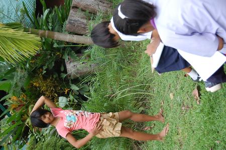 Life Drawing Workshop (Set of 21 Photographs)