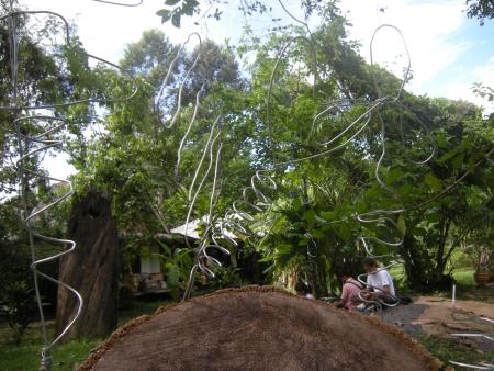 Wire Sculpture Workshop (Set of 28 Photographs)