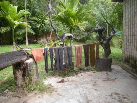Natural Bark Dyeing Presentation (Set of 14 Photographs)