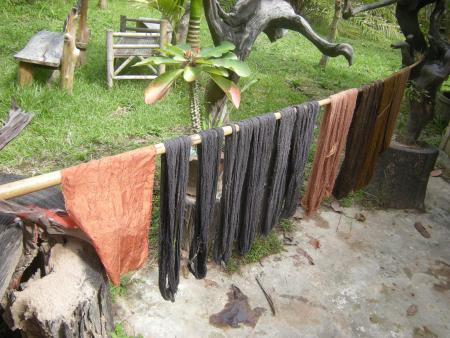 Natural Bark Dyeing Presentation (Set of 14 Photographs)