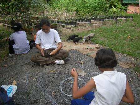 Wire Sculpture Workshop (Set of 28 Photographs)