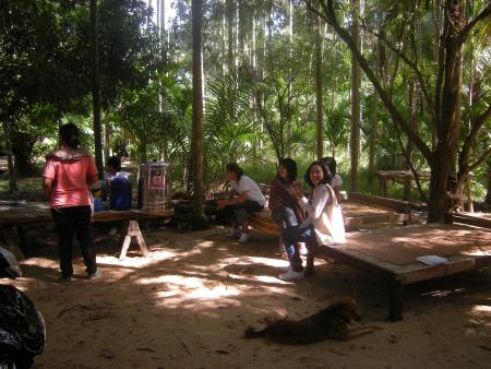 General Workshop Photos (Set of 25 Photographs)