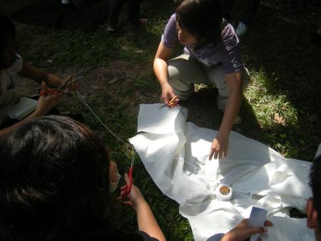 Casting Off a Memory — Workshop (Set of 66 Photographs)