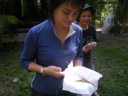 Casting Off a Memory — Workshop (Set of 66 Photographs)