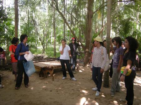 Tie Dye Workshop (Set of 94 Photographs)