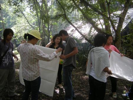 Tie Dye Workshop (Set of 94 Photographs)