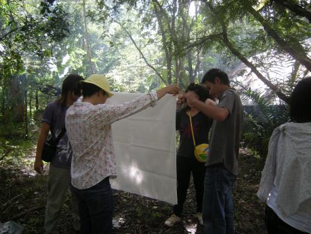 Tie Dye Workshop (Set of 94 Photographs)