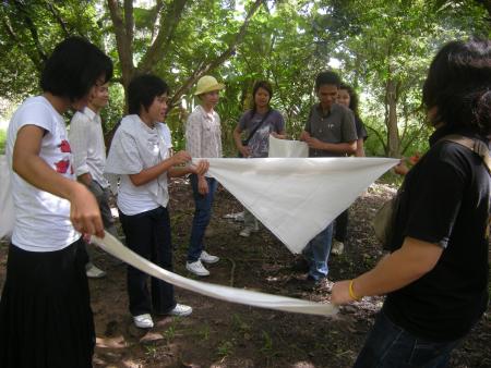 Tie Dye Workshop (Set of 94 Photographs)