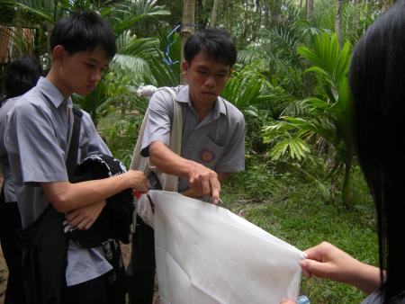 Tie Dye Workshop (Set of 94 Photographs)